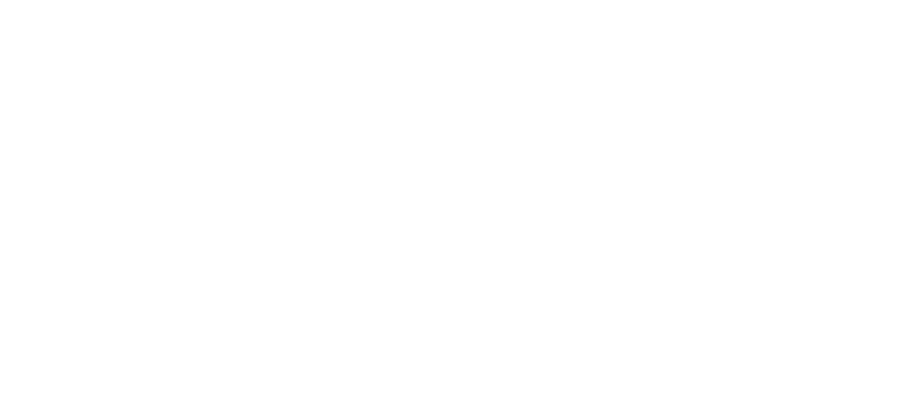 St. Louis ACE